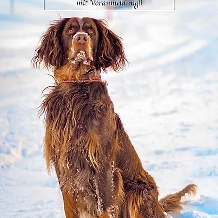 Binggl 4* Obertauern
